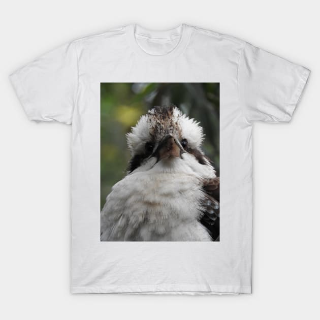 Kookaburra T-Shirt by kirstybush